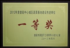 婁底市中心城區蔬菜基地建設先進單位一等獎